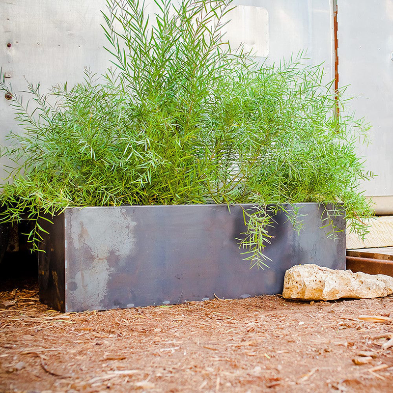 Characteristics of Flower Pots